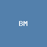 BMT